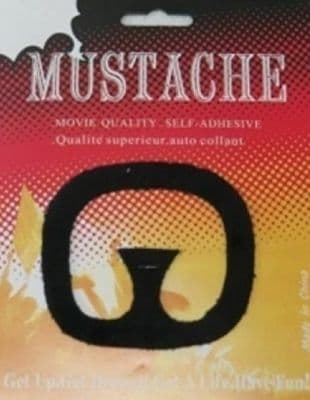 fake GOATEE BEARD AND MOUSTACHE BLACK GOATEE STICK ON GOATEE