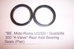 BE Moto-Roma UQ300 /Quadzilla 300 