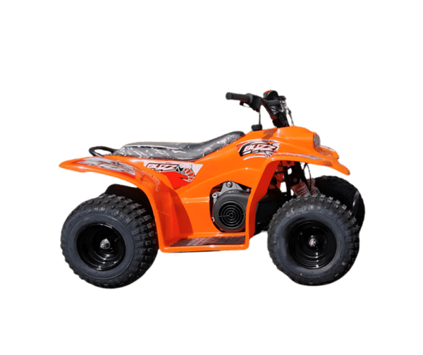 Quadzilla BUZZ 50 Mini-Quad