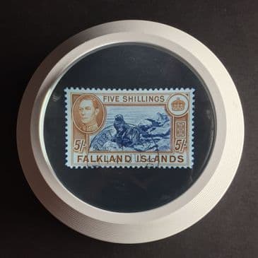 Easy use dome magnifier (3 x) with LED light