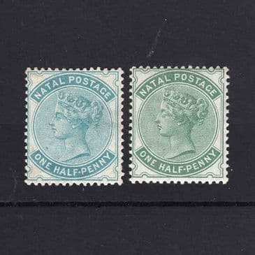 Lot 12993 : Natal