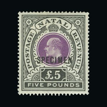 Lot 13014 : Natal
