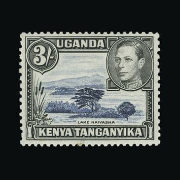 Lot 14770 : Kenya