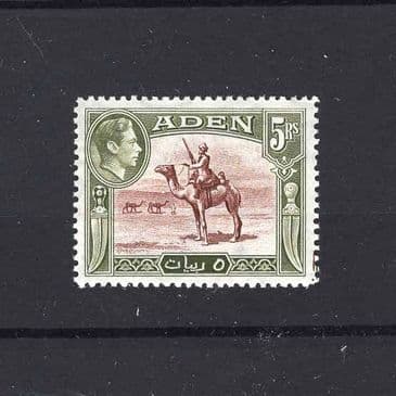 Lot   231 : Aden