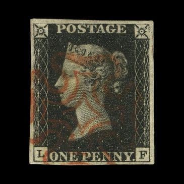 TUT6163 - Delightful Even Almost Grey-Black Shade