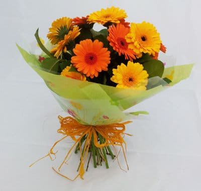 Mixed Gerbera Hand tied