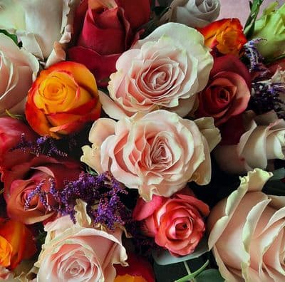Rose Hand Tied Mixed Colours