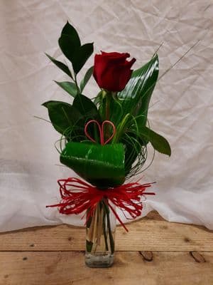 Single Deluxe Red Rose in a Vase
