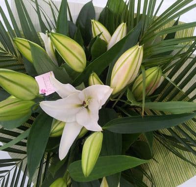 White Lily Hand Tie