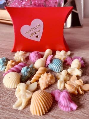 Designer inspired 20 Mini  Soya Rainbow wax melts Gift Box