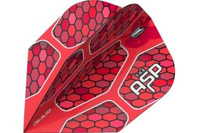 Nathan Aspinall Pro 100 Flights