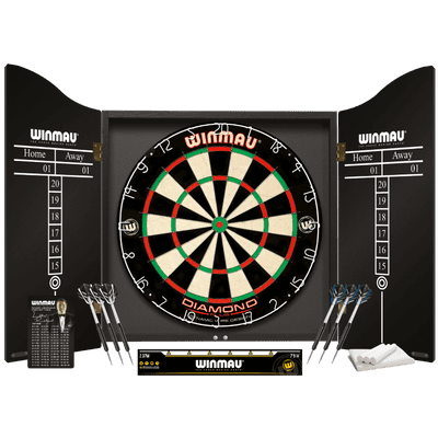 Professional Darts Set