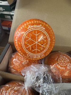 Tiger - Size 2H - Sunburst