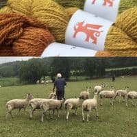 Black & Blue 4ply - Welsh Mist 2025