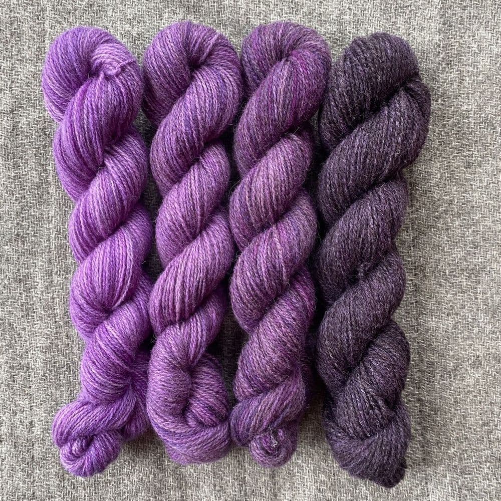 Shetland Gradient Set - Clematis