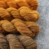 Shetland Gradient Set - Gorse