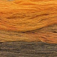 Shetland Gradient Set - Gorse