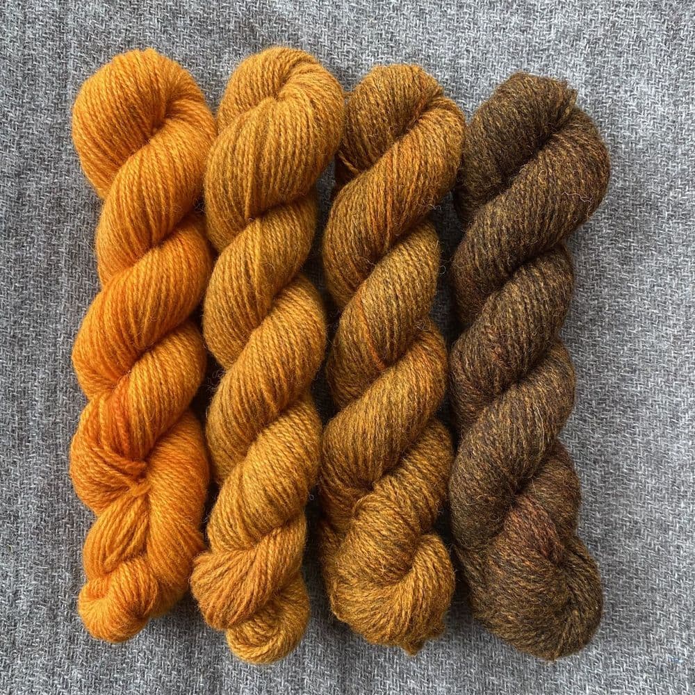Shetland Gradient Set - Gorse