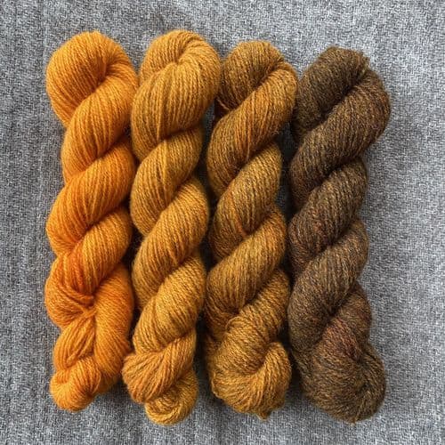 Shetland Gradient Set - Gorse