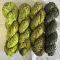 Shetland Gradient Set - Seaweed