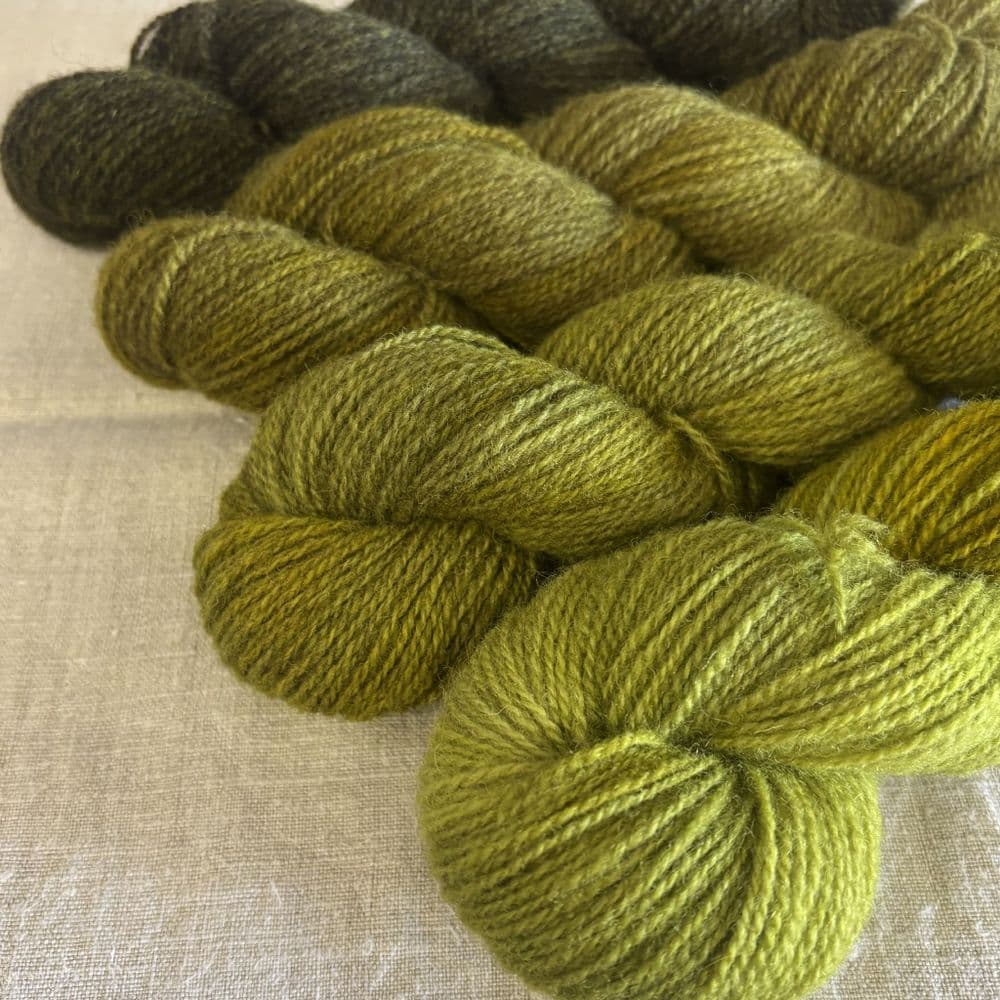 Shetland Gradient Set - Seaweed