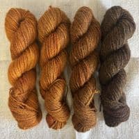 Shetland Gradient Set - Whisky