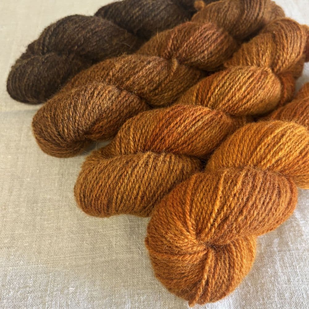 Shetland Gradient Set - Whisky