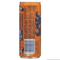 Karma organic Ginger Ale