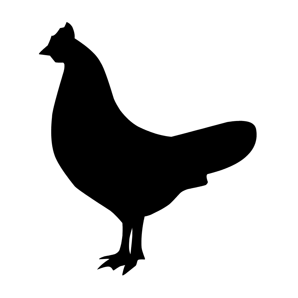 Organic Chicken Giblets (frozen)