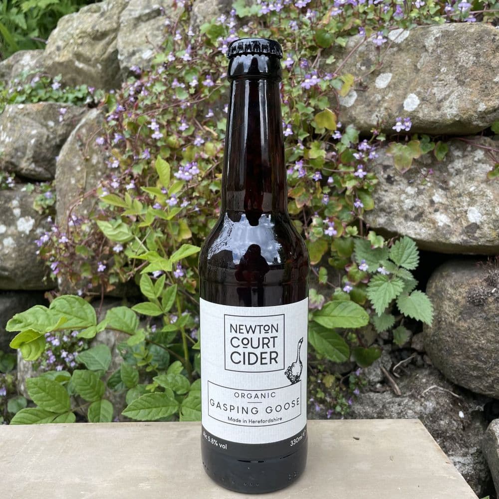 Organic Gasping Goose Apple Cider