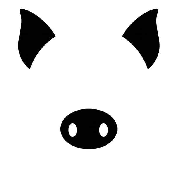 Organic Pig Ears (2) Raw for Pets