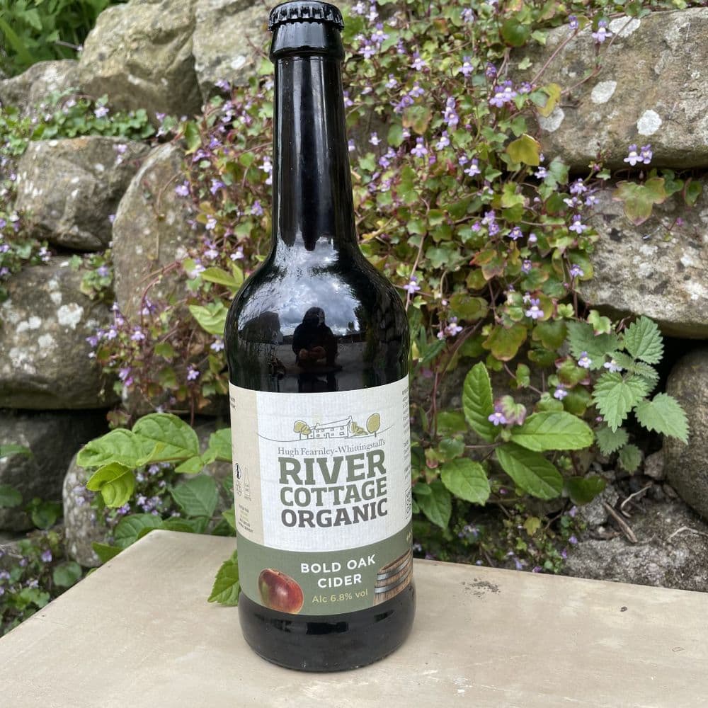 River Cottage Organic Bold Oak Cider 500ml