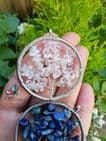 Amazonite, Lapis Lazuli and Clear Quartz Tree of Life Silver Wire Pendants