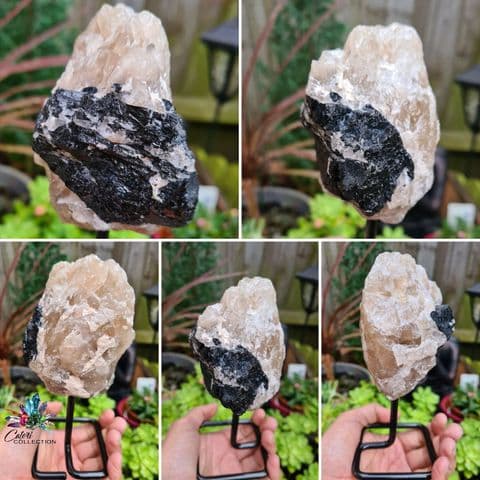 Black Tourmaline in Quartz Matrix (595g)