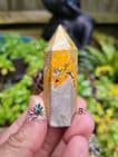 Bumblebee Jasper Points