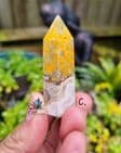 Bumblebee Jasper Points