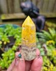Bumblebee Jasper Points