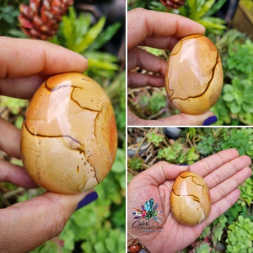 Polychrome Jasper Palmstone (#1)