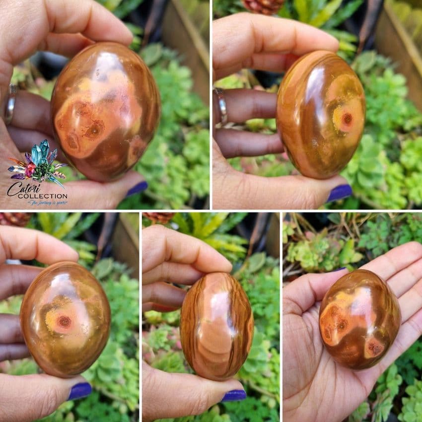 Polychrome Jasper Palmstone (#6)