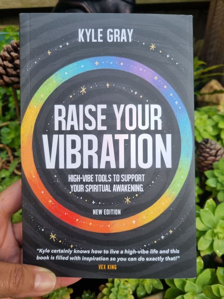 Raise Your Vibration Book Raise Your Vibration Book