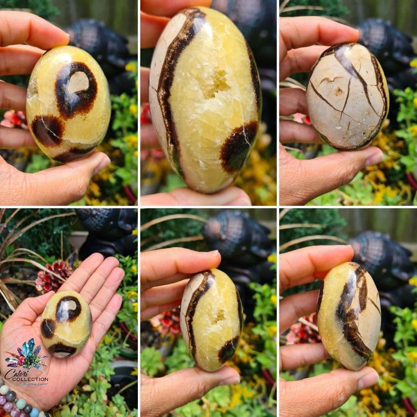 Septarian Palmstone  (191g)