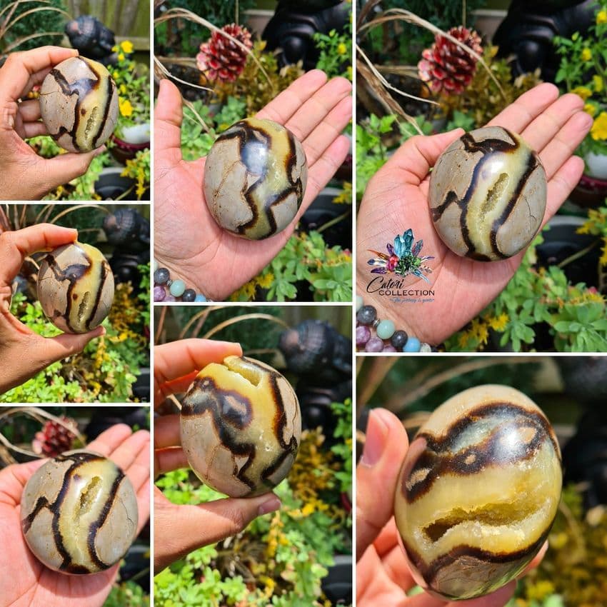 Septarian Palmstone (301g)