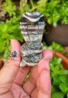 Serpentine Silver Eye Snake