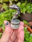 Serpentine Silver Eye Snake