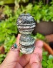Serpentine Silver Eye Snake