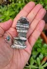 Serpentine Silver Eye Snake
