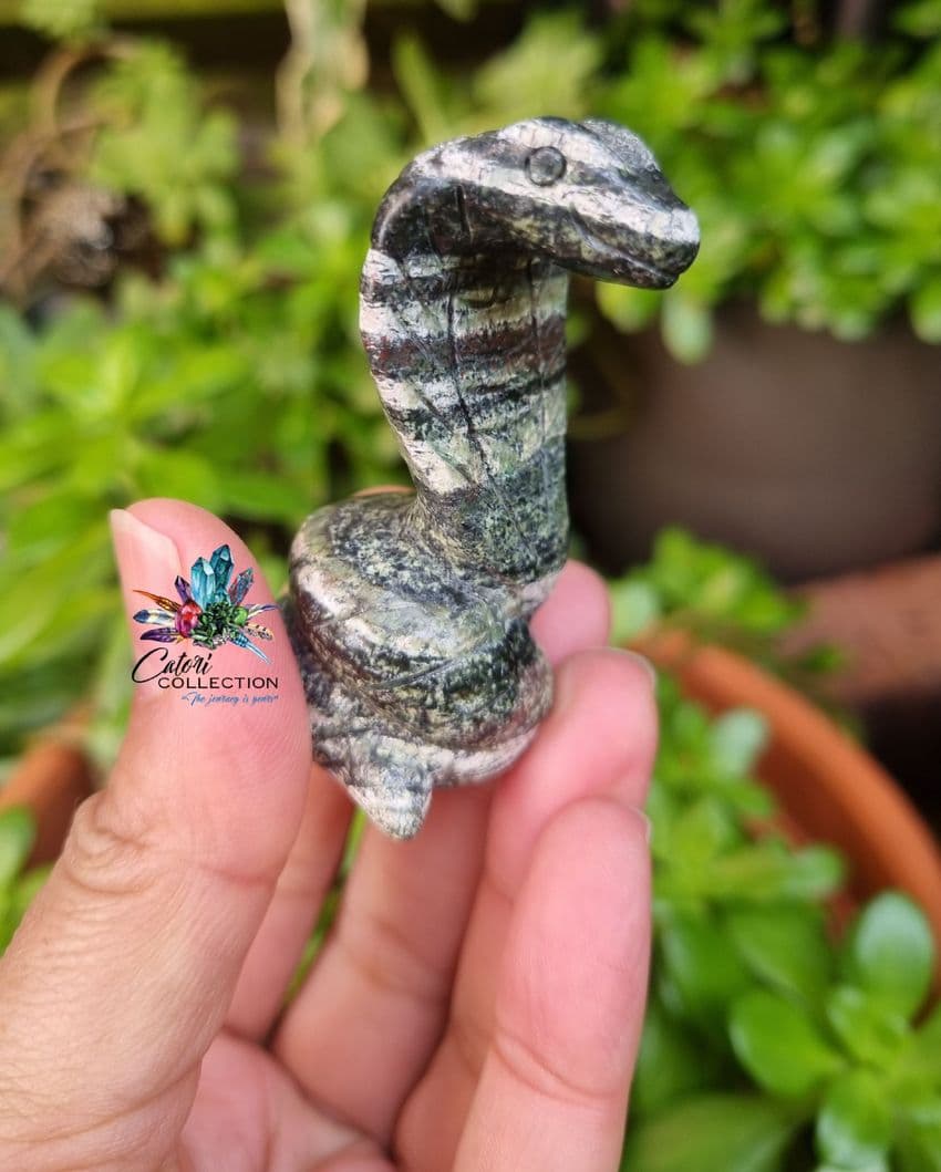 Serpentine Silver Eye Snake