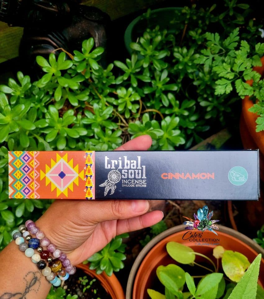 Tribal Soul Cinnamon Incense Sticks