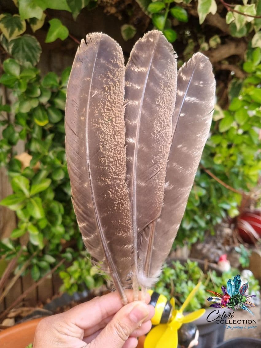 Turkey Feather Smudge Fan