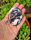 Zebra Jasper Palmstone